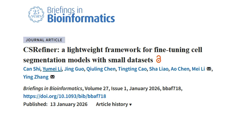 CSRefiner: a lightweight framework for fine-tuning cell segmentation models with small datasets